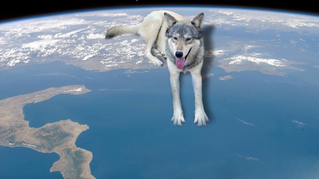 Image for asdfsadfasdf