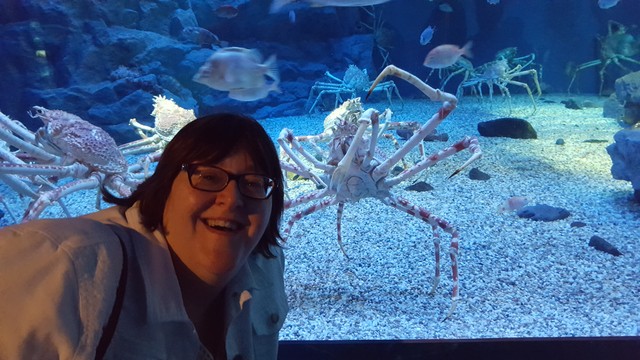 Image for Mom with Spider Crabs