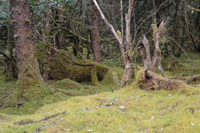 Image for Alaska 2019